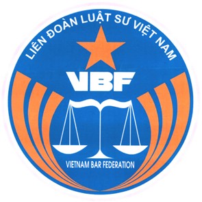 La fédération des avocats vietnamiens protestent contre la violation chinoise - ảnh 1